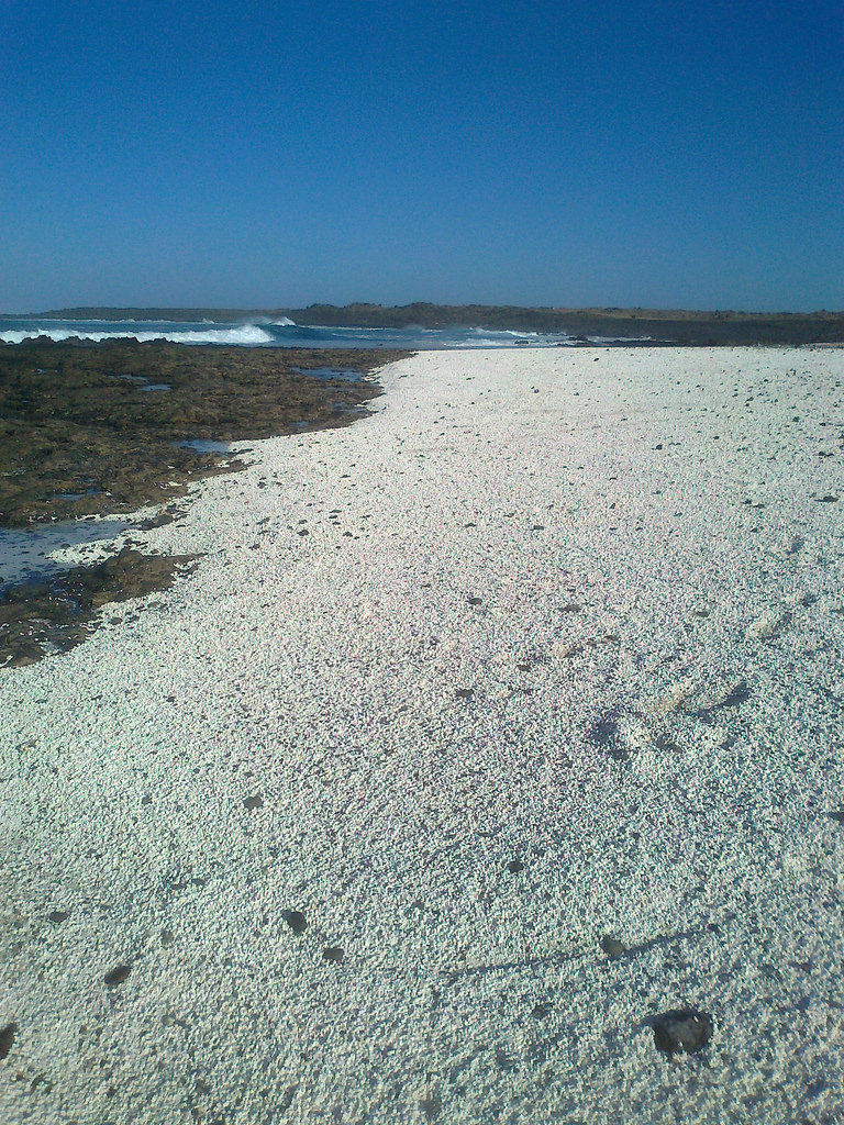 Lago Martianez